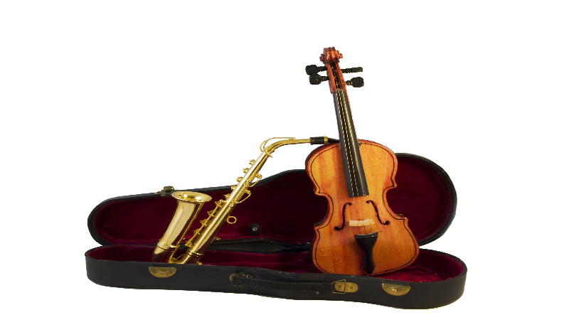 Affordable Violin Rental in Peachtree City, GA