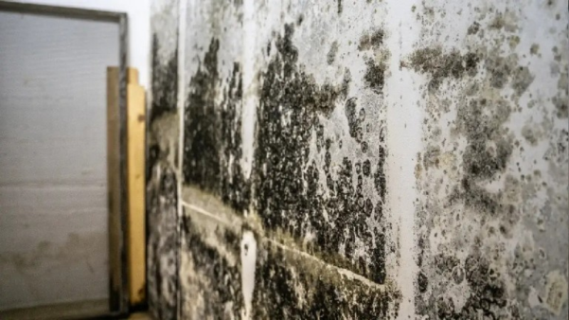 Everything to Know About Smoke Cleaning Services in Gainesville, FL