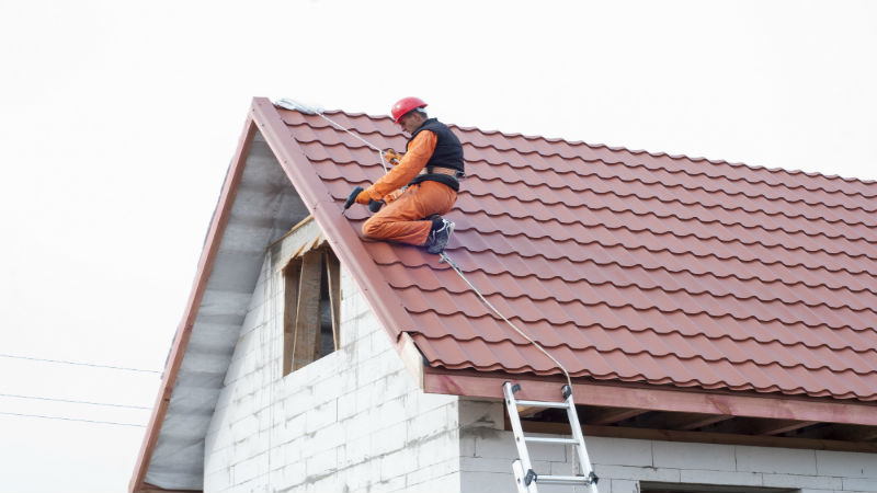 Utilize a Reliable Company Providing Roof & Gutter Cleaning in Puyallup, WA