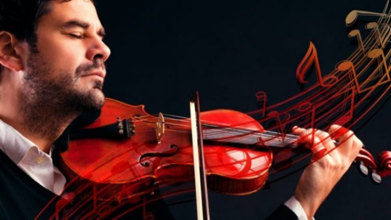 What to Know About a Violin for Sale in Marietta, GA