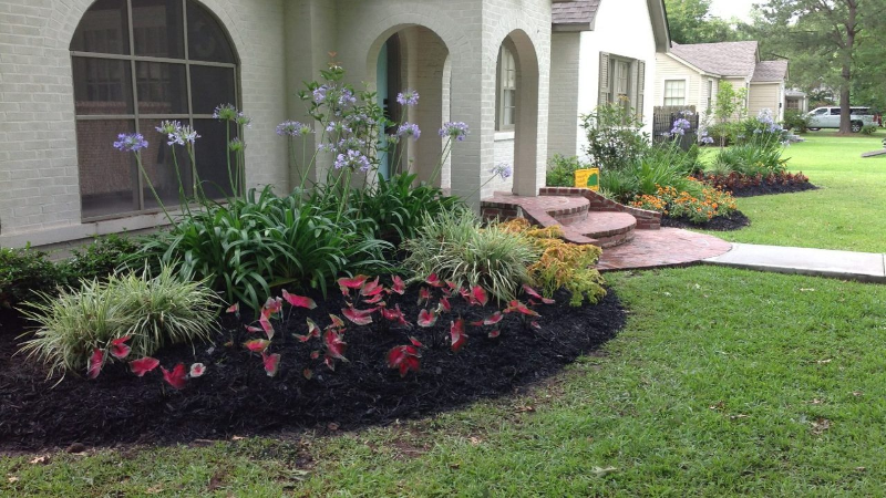 Weed Treatment for Lawns in Baton Rouge – Why Hiring Professionals is The Best Choice