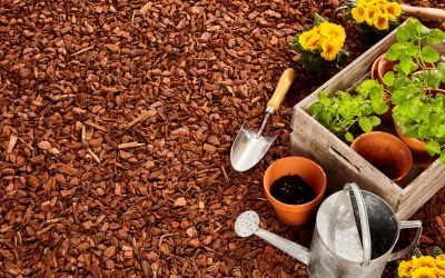 Expert Tips for Maximizing Pre Emergent Weed Control in American Yards