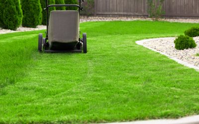 Achieve Lush Green Lawns with a Lawn And Garden Fertilizer Spreader for Precision Results