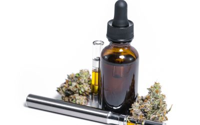 Find Unique Home Decor Ideas Featuring Hand Blown Glassware, Bozeman, MT Artistry