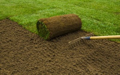 Enjoy a Lush Lawn All Year With Sod Grass Riverside, CA Homeowners Trust Most