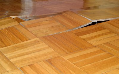 Signs You Need Immediate Water Damage Cleanup in Lisle, IL to Protect Your Home