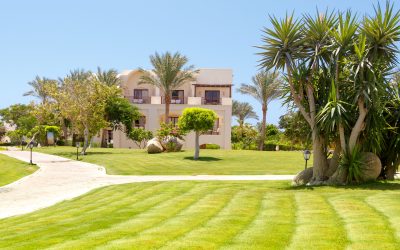 Personalize Your Yard With Help from a Landscape Contractor in Menifee CA