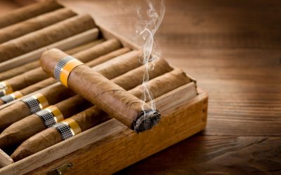 Sustainable sourcing with a nicotine alkaloid supplier for UK pharmaceutical innovation
